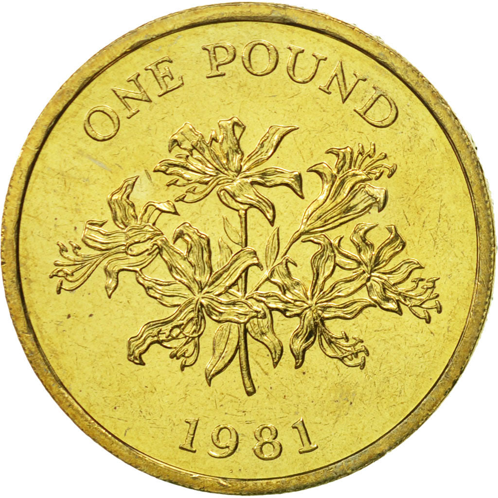 Guernsey, Elizabeth II, Pound, 1981, Heaton, MS(65-70), Nickel-brass, KM:37
