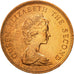 Monnaie, Falkland Islands, Elizabeth II, Penny, 1985, FDC, Bronze, KM:2