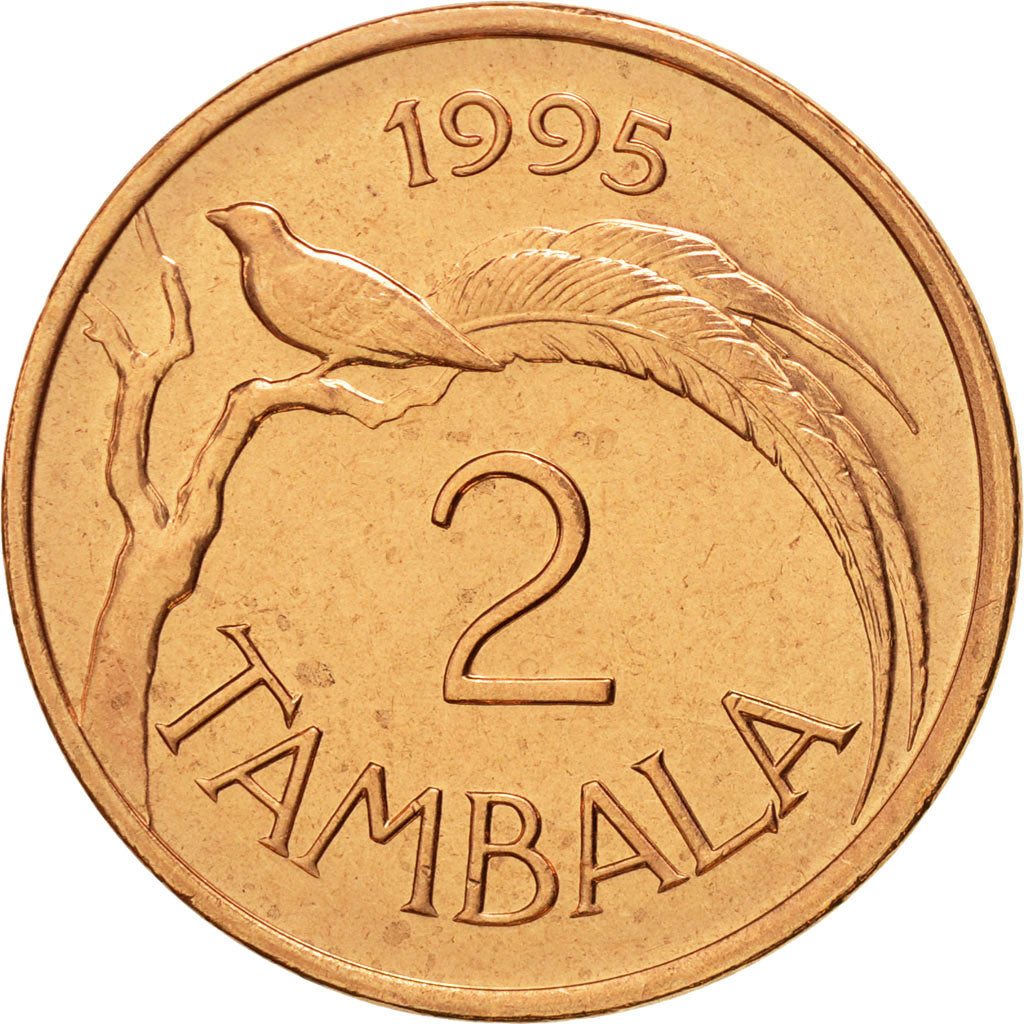 Malawi, 2 Tambala, 1995, MS(65-70), Copper Plated Steel, KM:25