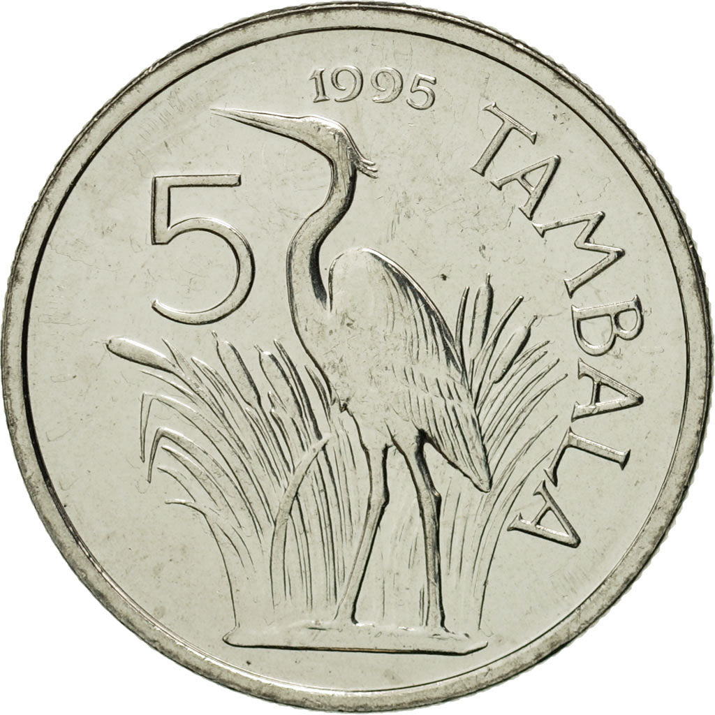 Malawi, 5 Tambala, 1995, MS(65-70), Nickel plated steel, KM:26