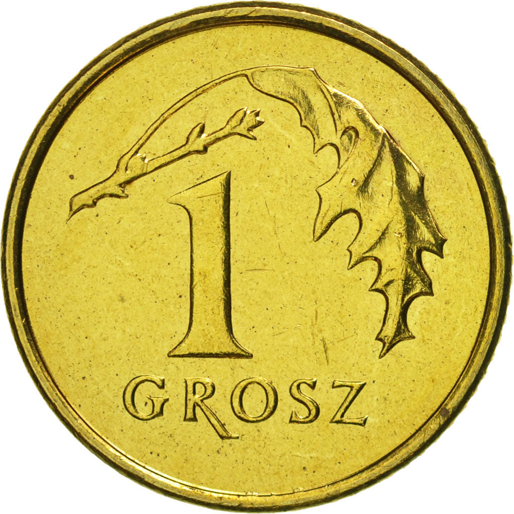 Coin, Poland, Grosz, 2004, Warsaw, MS(65-70), Brass, KM:276