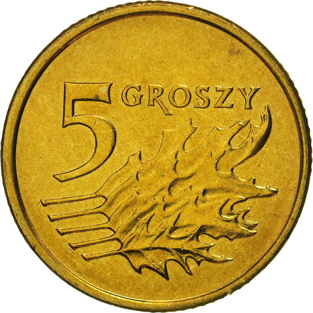 Moneda, Polonia, 5 Groszy, 2003, Warsaw, FDC, Latón, KM:278