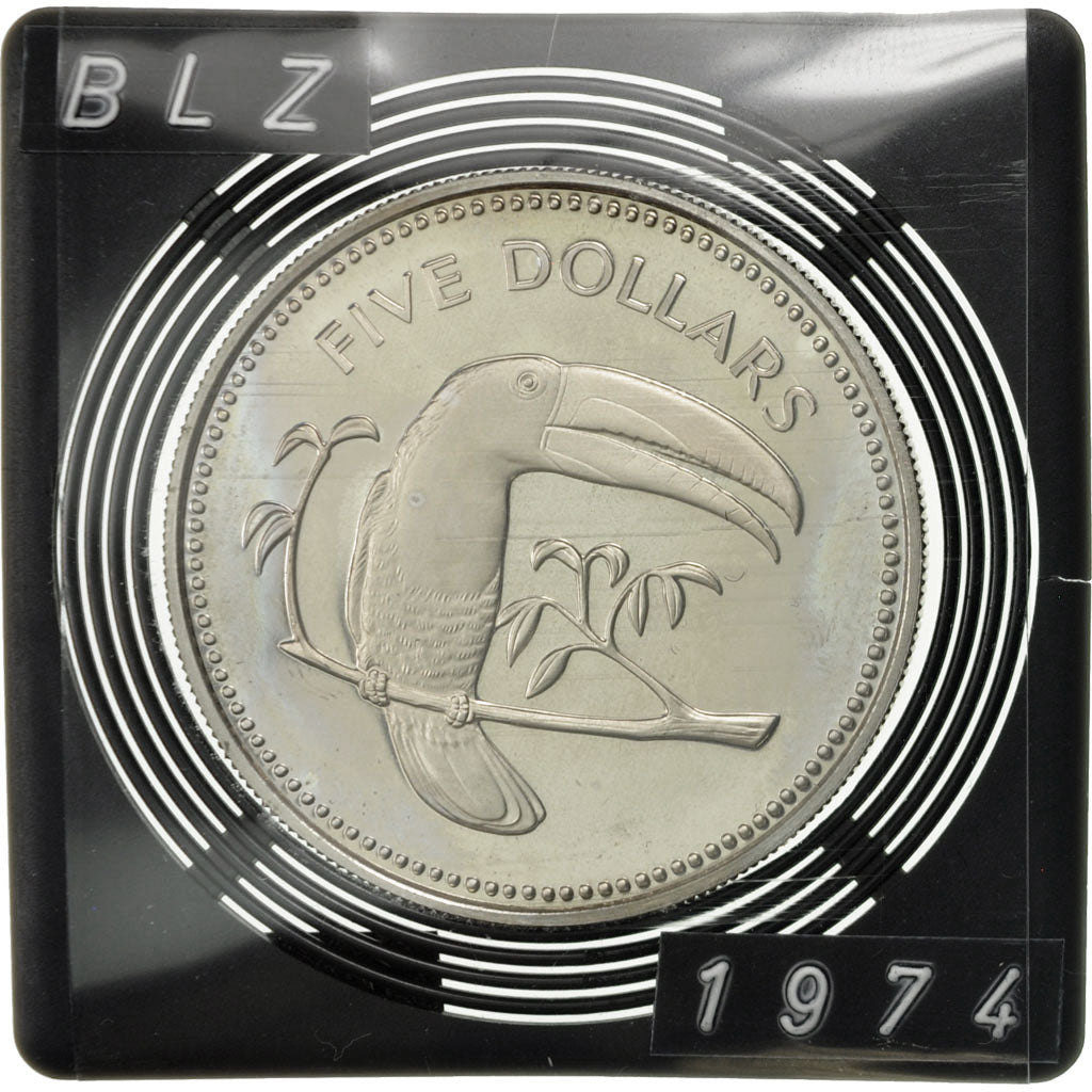 Moneta, Belize, 5 Dollars, 1974, Franklin Mint, SPL, Argento, KM:44a