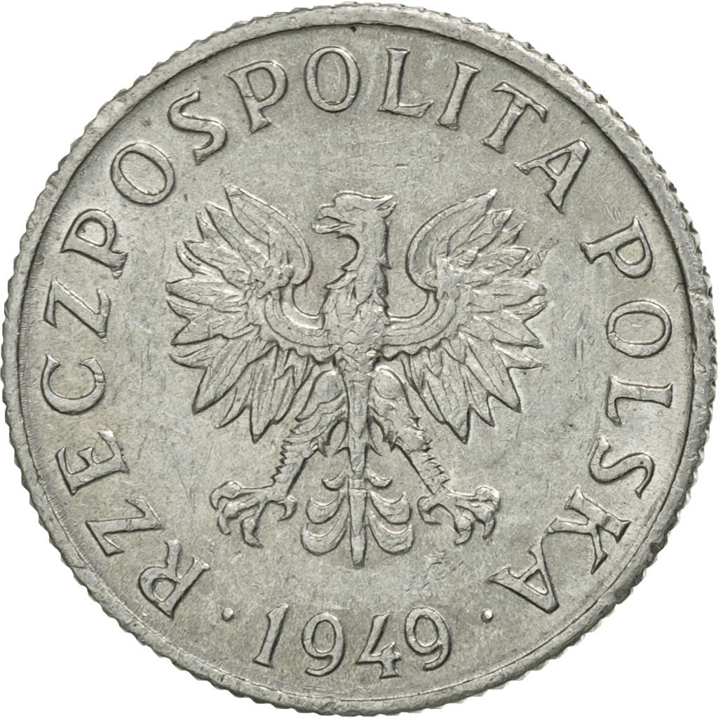 Moneda, Polonia, Grosz, 1949, Warsaw, SC, Aluminio, KM:39