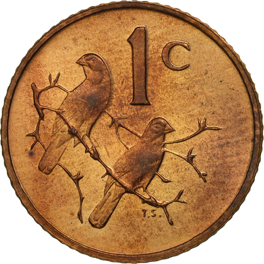 Coin, South Africa, Cent, 1975, MS(63), Bronze, KM:82