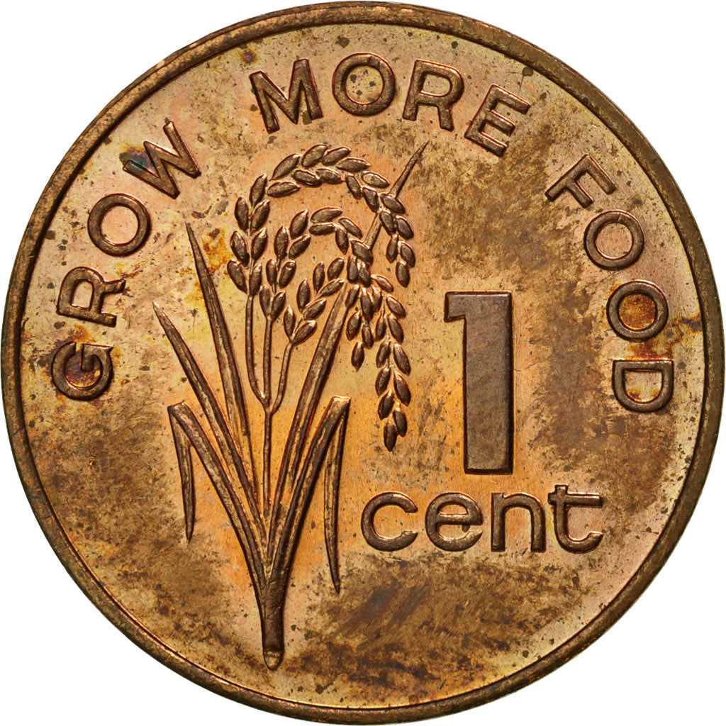 Coin, Fiji, Elizabeth II, Cent, 1977, MS(63), Bronze, KM:39
