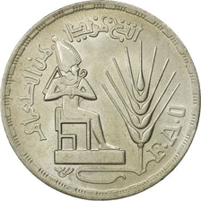 Ägypten, Pound, 1976, UNZ, Silber, KM:453