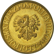 Monnaie, Pologne, 5 Zlotych, 1977, Warsaw, SUP, Laiton, KM:81.1