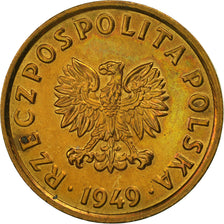 Coin, Poland, 5 Groszy, 1949, Basel, AU(55-58), Bronze, KM:41