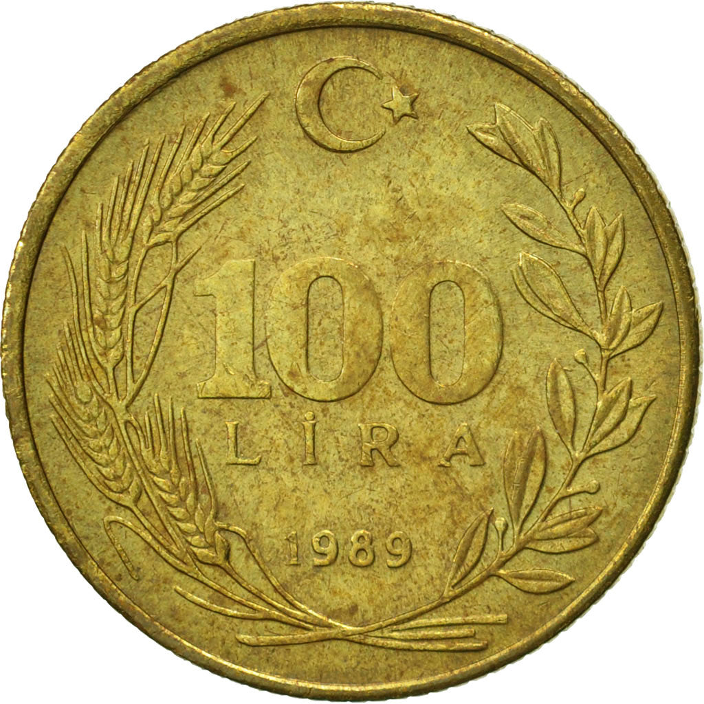 Coin, Turkey, 100 Lira, 1989, EF(40-45), Aluminum-Bronze, KM:988