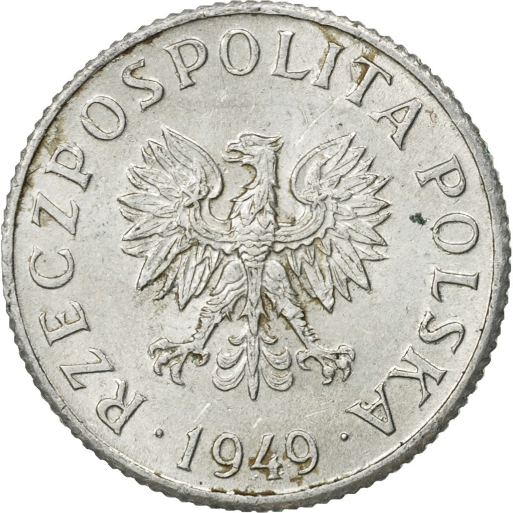 Moneda, Polonia, Grosz, 1949, Warsaw, EBC, Aluminio, KM:39