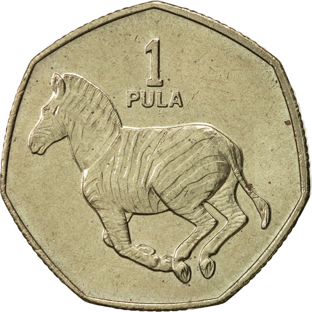 Botswana, Pula, 1991, British Royal Mint, AU(55-58), Nickel-brass, KM:24