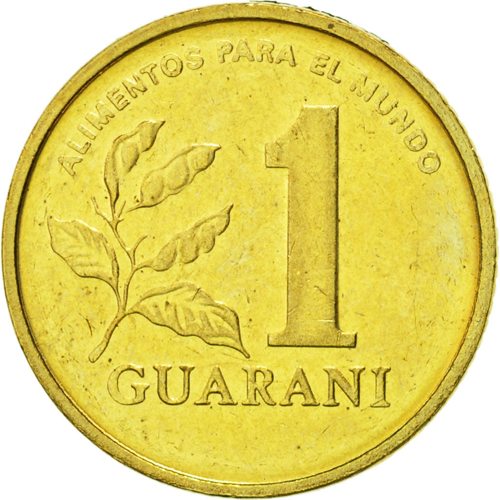 Münze, Paraguay, Guarani, 1993, VZ, Brass plated steel, KM:192