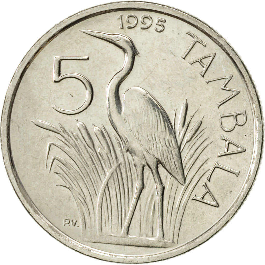 Malawi, 5 Tambala, 1995, AU(55-58), Nickel plated steel, KM:26