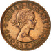 Coin, New Zealand, Elizabeth II, 1/2 Penny, 1962, EF(40-45), Bronze, KM:23.2