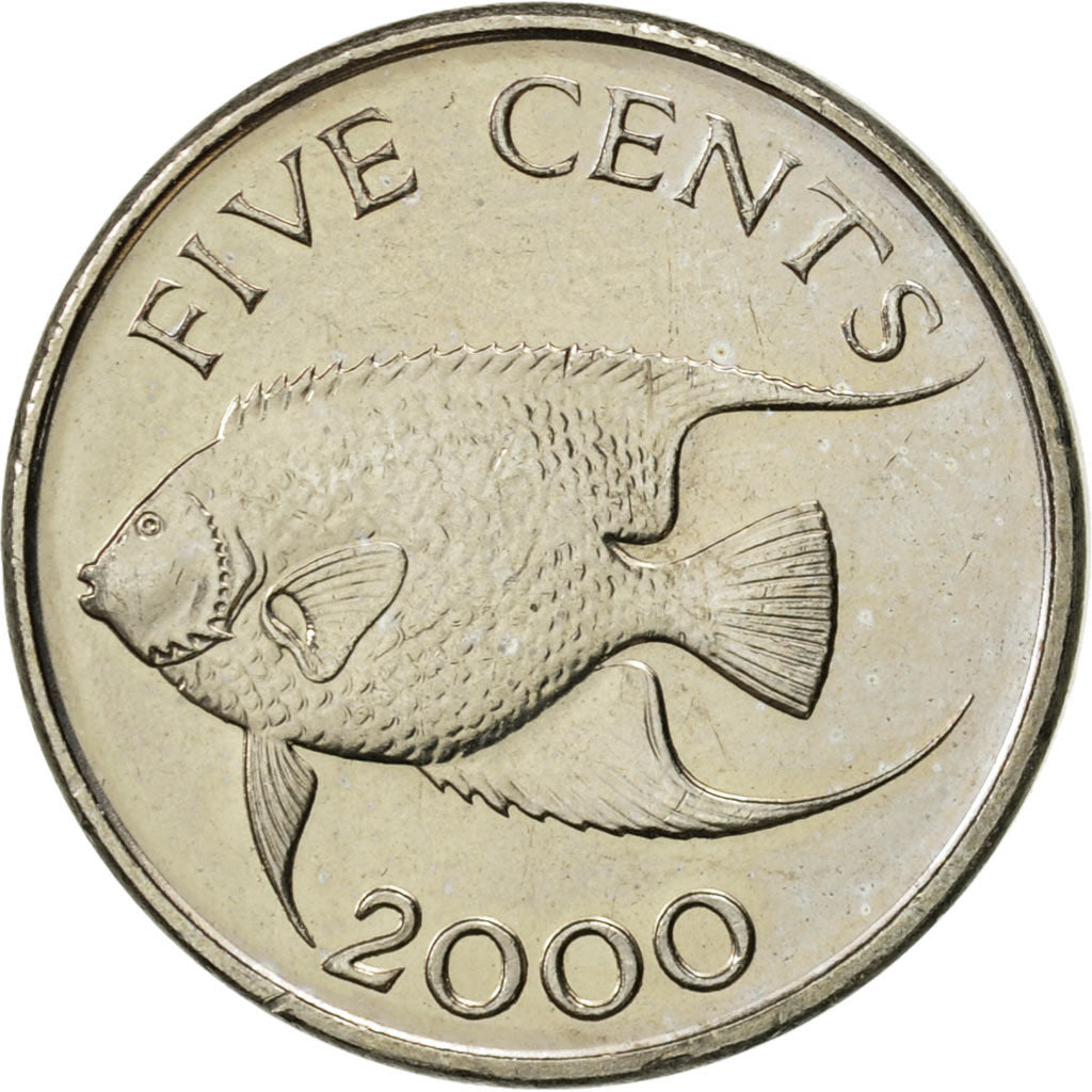 Coin, Bermuda, Elizabeth II, 5 Cents, 2000, AU(55-58), Copper-nickel, KM:108