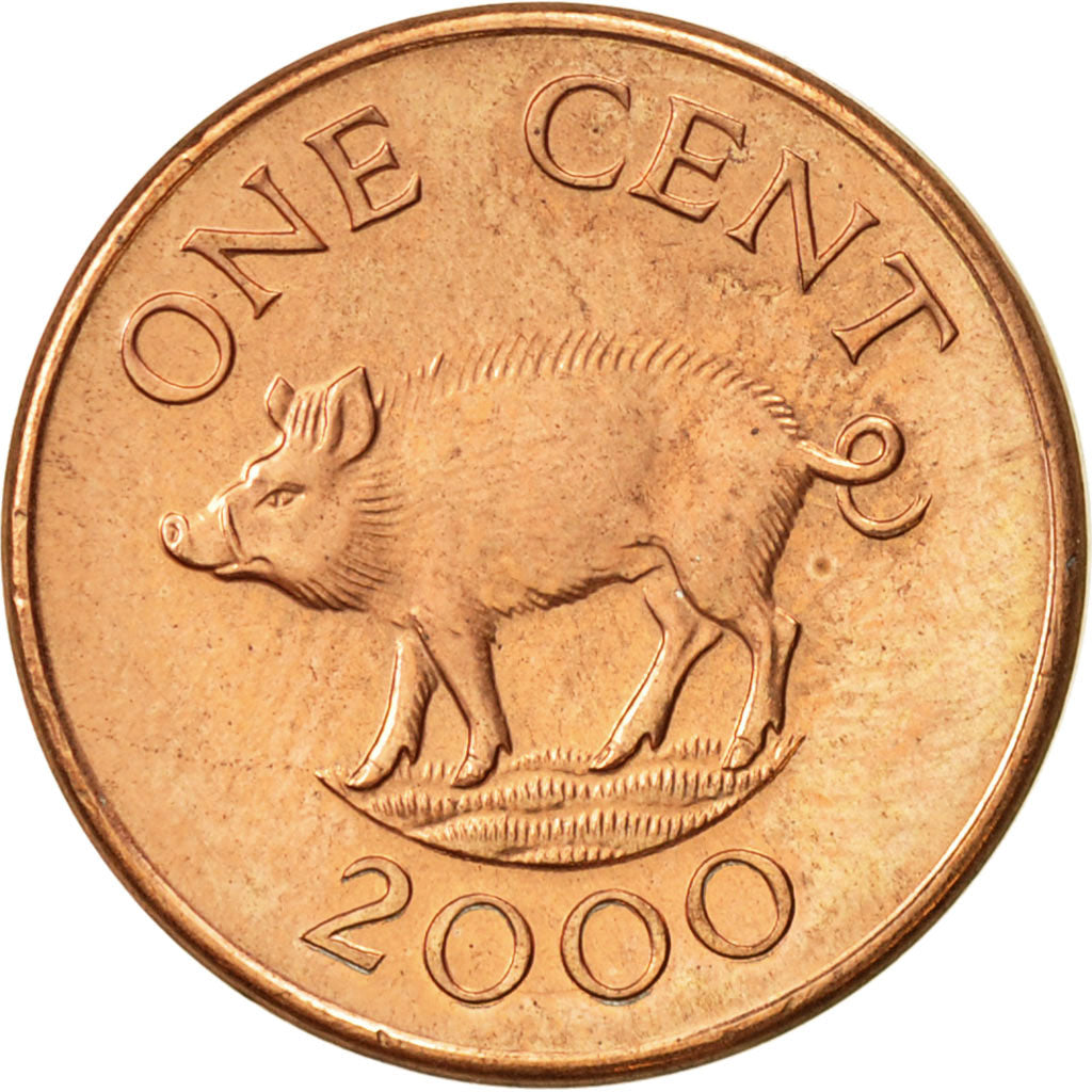 Coin, Bermuda, Elizabeth II, Cent, 2000, AU(55-58), Copper Plated Zinc, KM:107