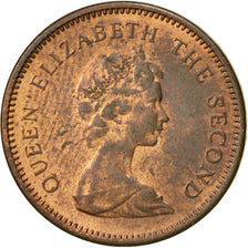 Falkland Islands, Elizabeth II, 1/2 Penny, 1974, AU(55-58), Bronze, KM:1