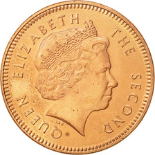 Monnaie, Falkland Islands, Elizabeth II, 2 Pence, 2004, SUP+, Copper Plated