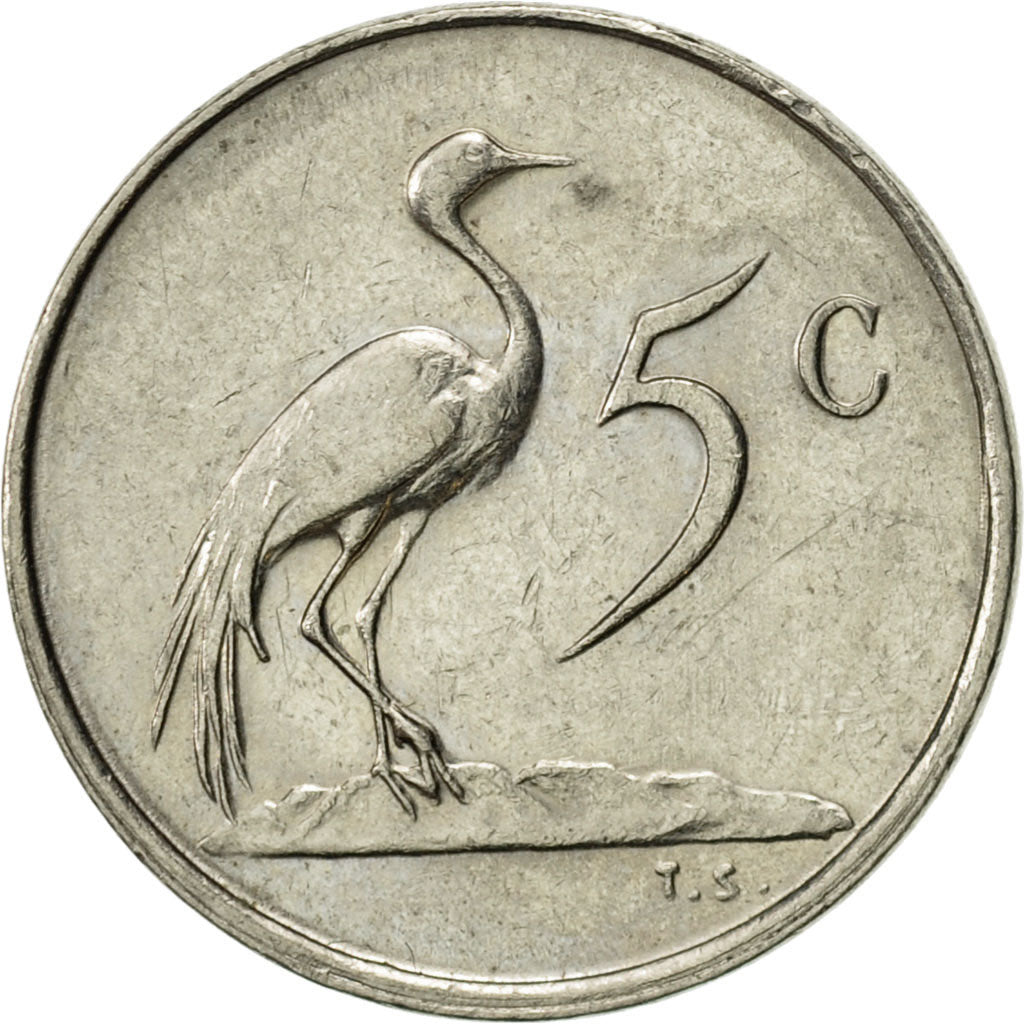 Monnaie, Afrique du Sud, 5 Cents, 1981, SUP, Nickel, KM:84