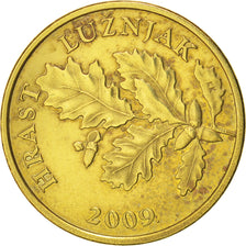 Moneta, Croazia, 5 Lipa, 2009, SPL-, Acciaio placcato ottone, KM:5