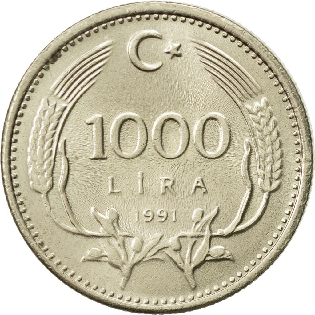 Coin, Turkey, 1000 Lira, 1991, MS(63), Nickel-brass, KM:997