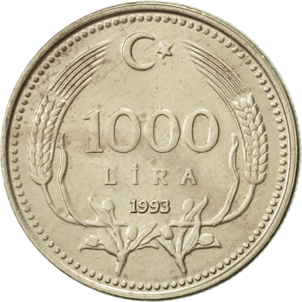 Coin, Turkey, 1000 Lira, 1993, AU(55-58), Nickel-brass, KM:997