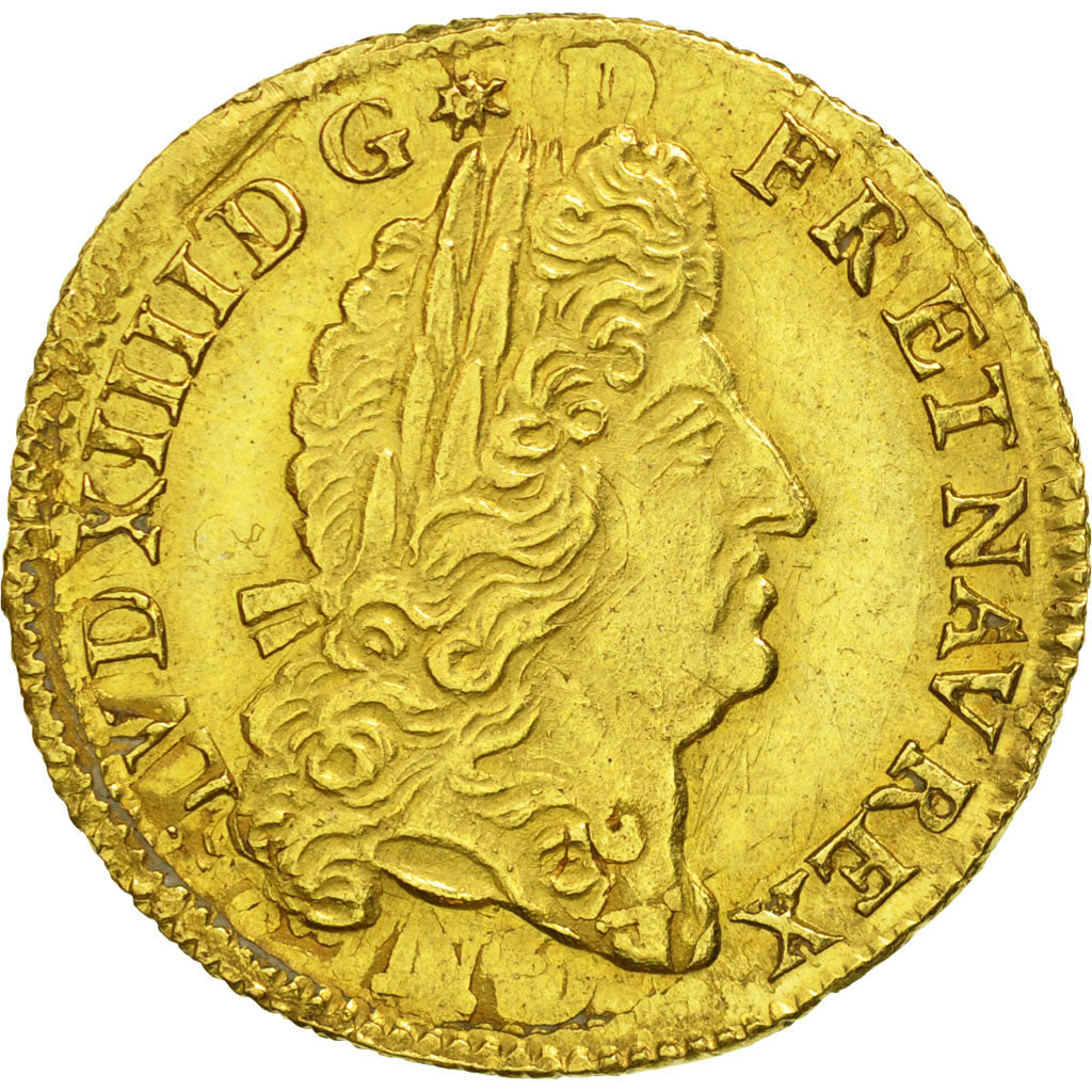 Coin, France, Louis XIV, Louis d'or à l'écu, Louis d'Or, 1691, Rouen