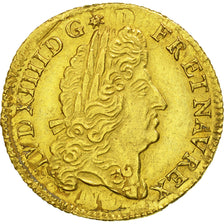 Monnaie, France, Louis XIV, Louis d'or à l'écu, Louis d'Or, 1691, Rouen, TTB+