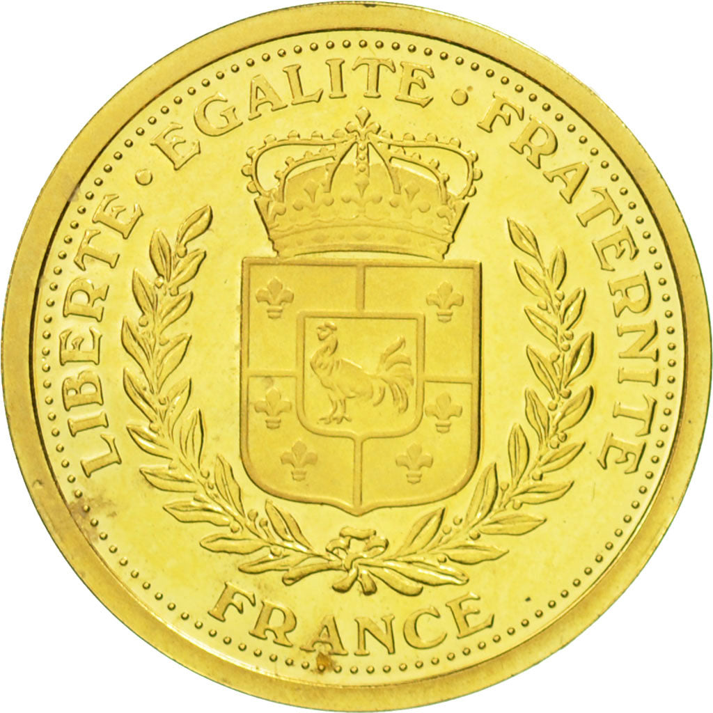 Frankrijk, Medal, Nouveau Franc, French Fifth Republic, History, 2013, UNC-