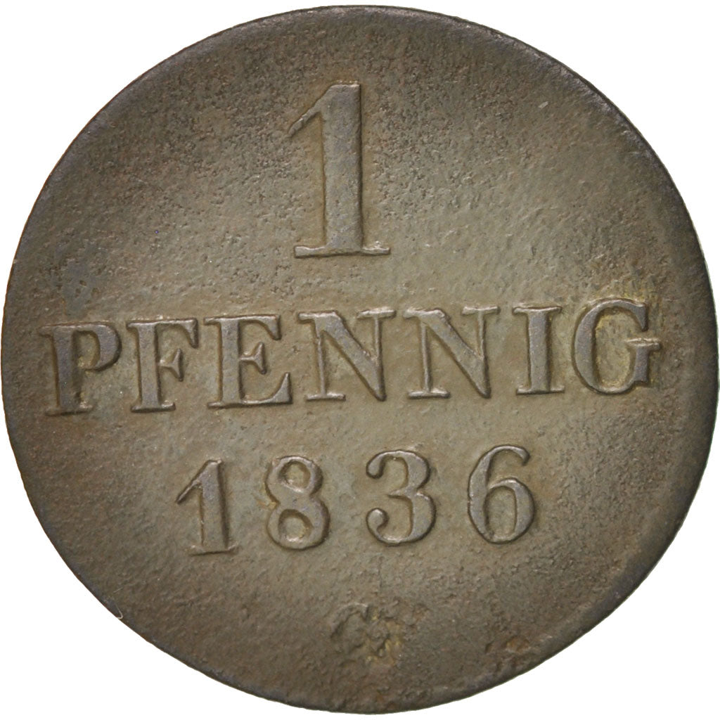 Stati tedeschi, SAXONY-ALBERTINE, Friedrich August II, Pfennig, 1836, BB, Ram...