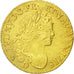 Moneta, Francia, Louis XV, Louis d'or à la croix du Saint-Esprit, Louis d'Or