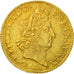 Francia, Louis XIV, Louis d'or aux insignes, 1704, Paris, BB+, Oro, KM 365.1