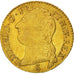 France, Louis XVI, Louis d'or à la tête nue, 1785, Paris, KM 591.1, Gadoury 361