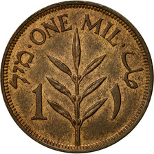 Palestina, Mil, 1927, SPL, Bronzo, KM:1