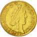 Moneta, Francia, Louis XIV, Louis d'or à la mèche longue, Louis d'Or, 1651