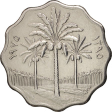 Monnaie, Iraq, 5 Fils, 1975, SPL, Stainless Steel, KM:141