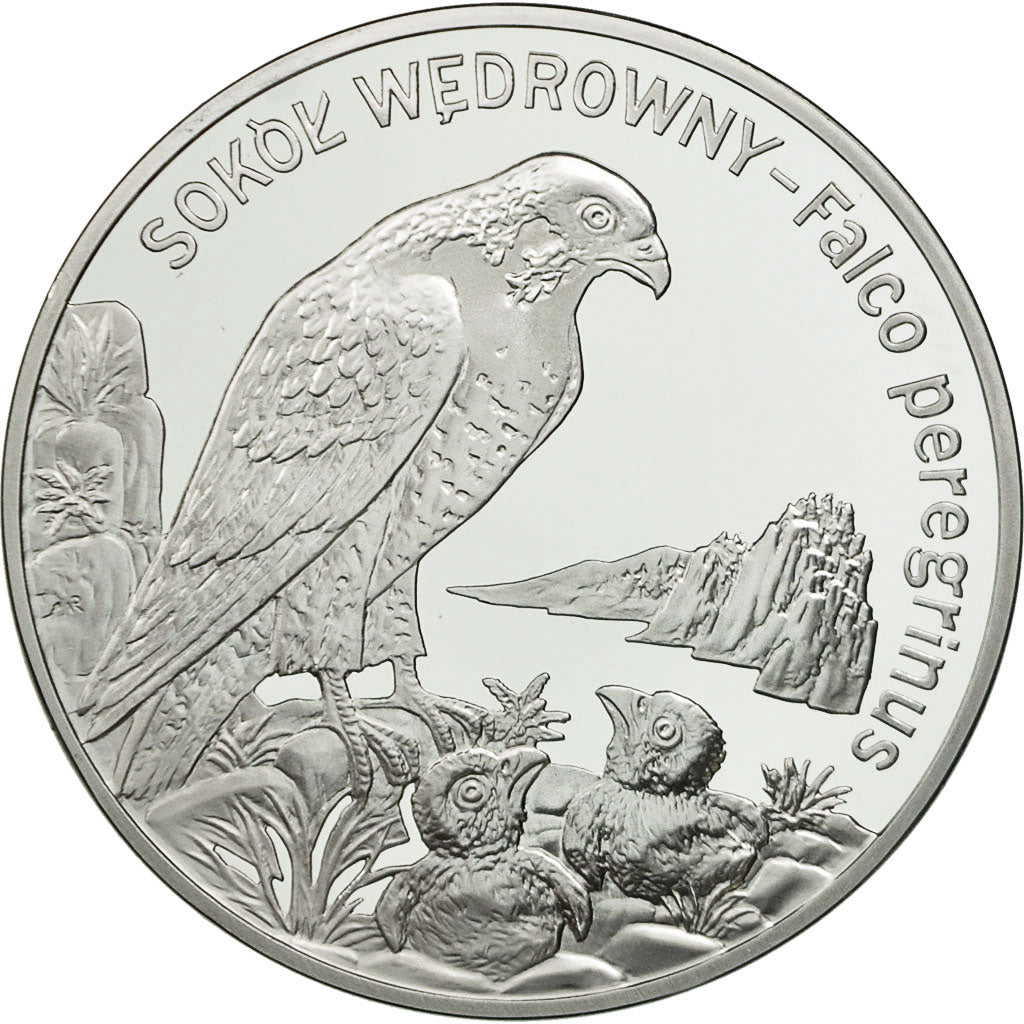 Coin, Poland, 20 Zlotych, 2008, Warsaw, MS(65-70), Silver, KM:637