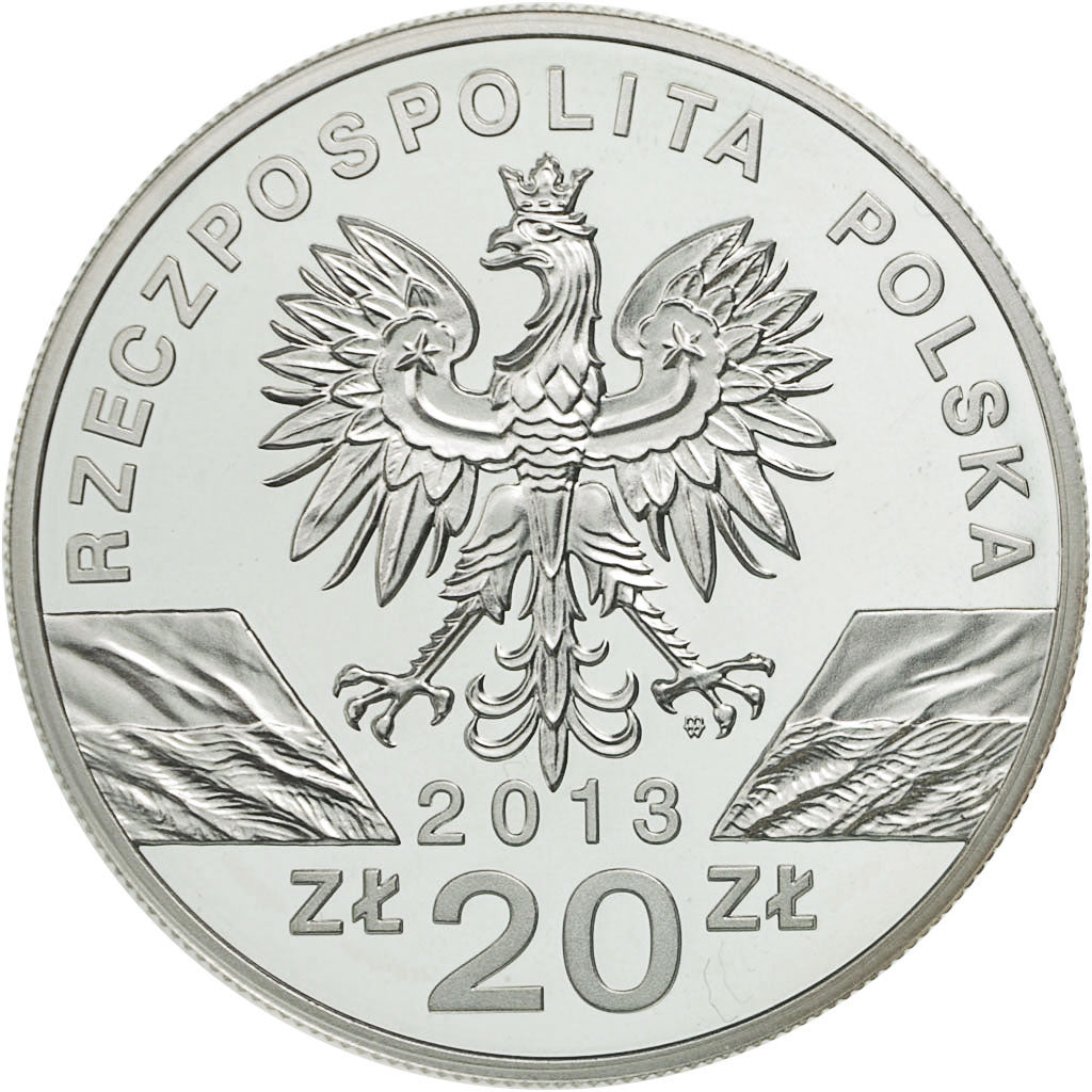 Coin, Poland, 20 Zlotych, 2013, Warsaw, MS(65-70), Silver, KM:855