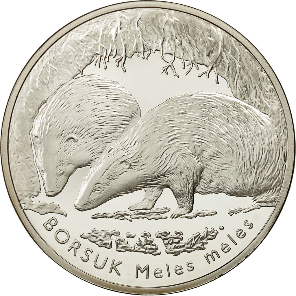 Coin, Poland, 20 Zlotych, 2011, Warsaw, MS(65-70), Silver, KM:763