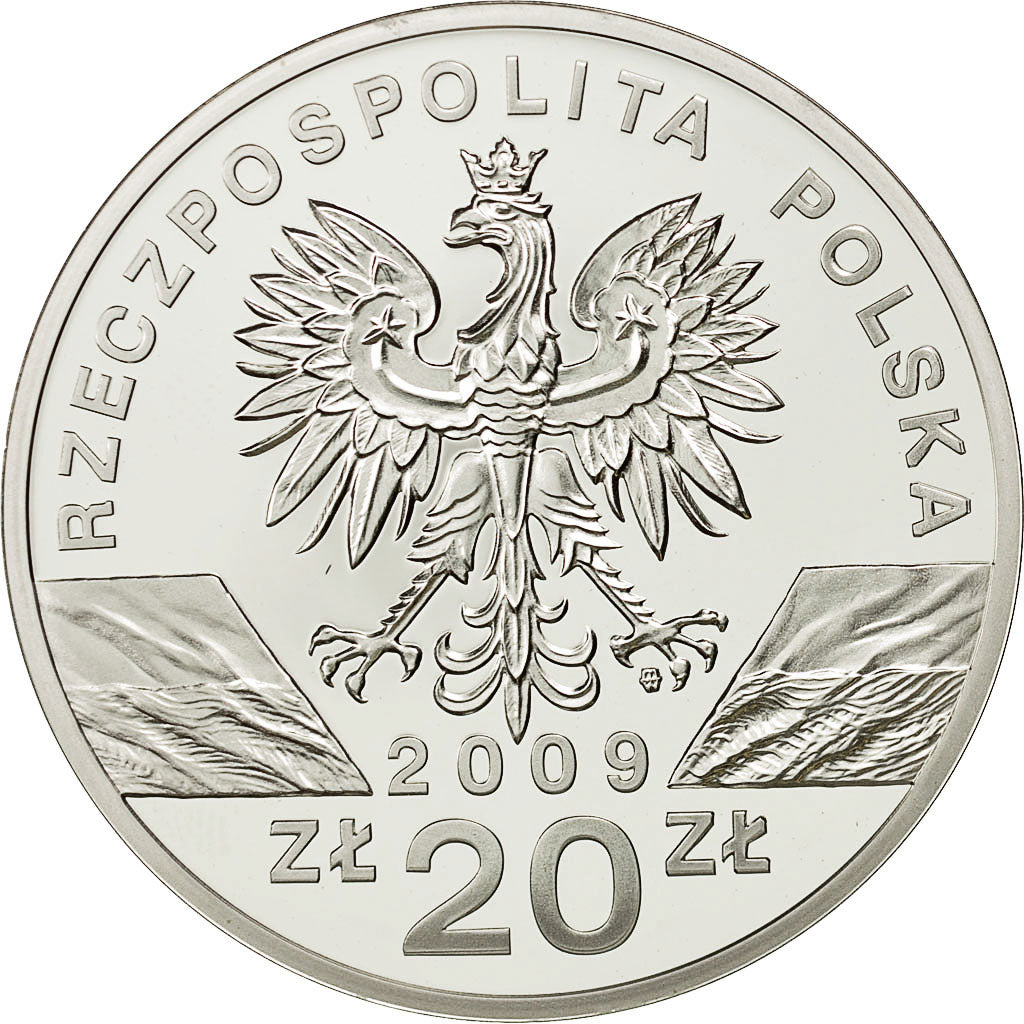 Coin, Poland, 20 Zlotych, 2009, Warsaw, MS(65-70), Silver, KM:679