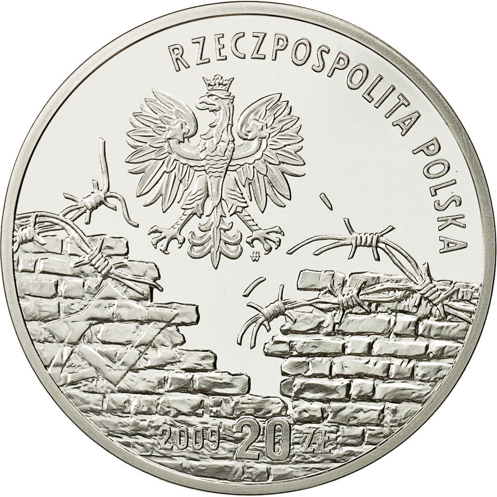 Coin, Poland, 20 Zlotych, 2009, Warsaw, MS(65-70), Silver, KM:704