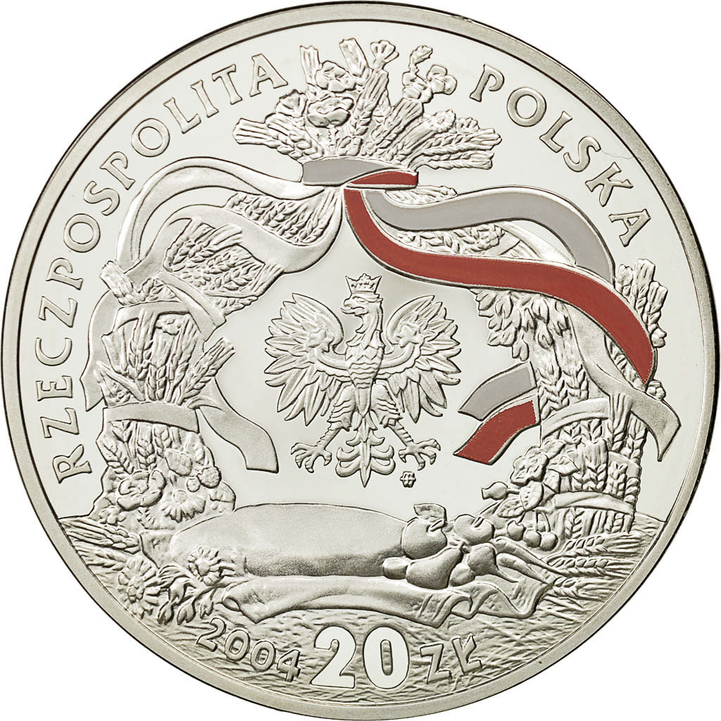 Coin, Poland, 20 Zlotych, 2004, Warsaw, MS(65-70), Silver, KM:508