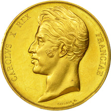 France, Medal, Royal, Sacre de Charles X Reims, Charles X, History, 1825