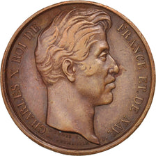 France, Charles X, 1827, Token, Copper, Visit of Lille