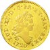 Coin, France, Louis XV, Louis d'or aux 2 L, 1720, Paris, VF(30-35), KM 461.1
