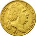 Coin, France, Louis XVIII, 20 Francs, 1817, Paris, VF(30-35), Gold, KM 712.1