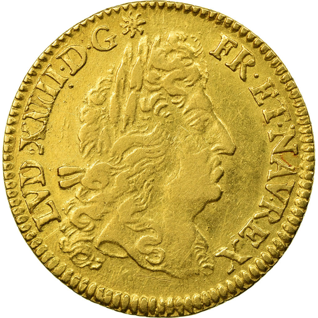 Munten, Frankrijk, Louis XIV, Louis d'or à l'écu, 1691, Paris, ZF, KM 278.1