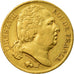 Moneda, Francia, Louis XVIII, 20 Francs, 1824, Paris, MBC, Oro, KM 712.1