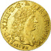 Coin, France, Louis XIV, Louis d'or à la tête nue, 1672, Lyon, KM 219.3